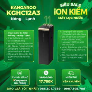 KANGAROO KGHC12A3